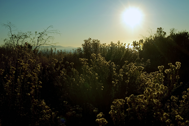 Burnout: Santa Catalina