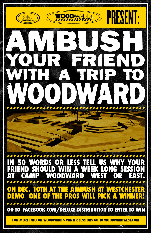 dlx-WW-AMBUSH-flyer