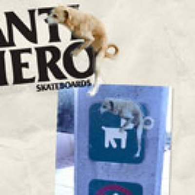 Win an Antihero Board