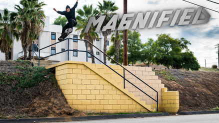 Magnified: Sascha Daley