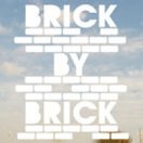 Buy A Brick, Build A Skatepark