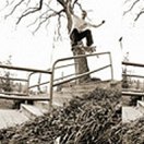 Grant&#039;s 50-50