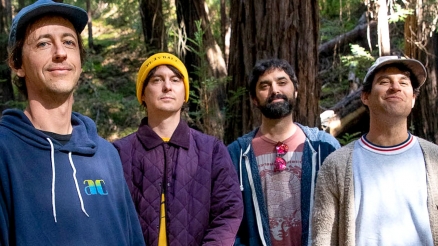 Animal Collective Interview