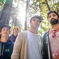 Animal Collective Interview