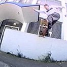 Classics: Adrenalin Skateboards Promo