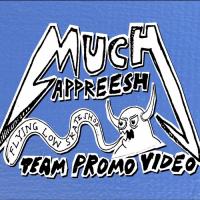 Flying Low Skateshop's "Much Appreesh" Video