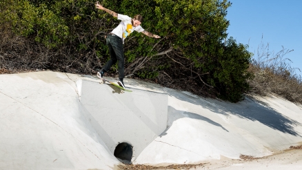 Riley Hawk's "Shep Dawgs 5" Part