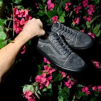 Vans X Quasi Collection