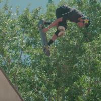 Pro-Tec&#039;s &quot;Born Free 2017&quot; Video